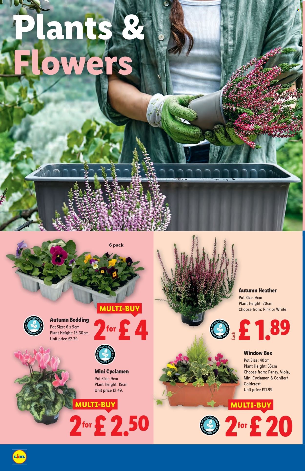 LIDL offer - September (2025-09-18 - 2025-09-24) | 22