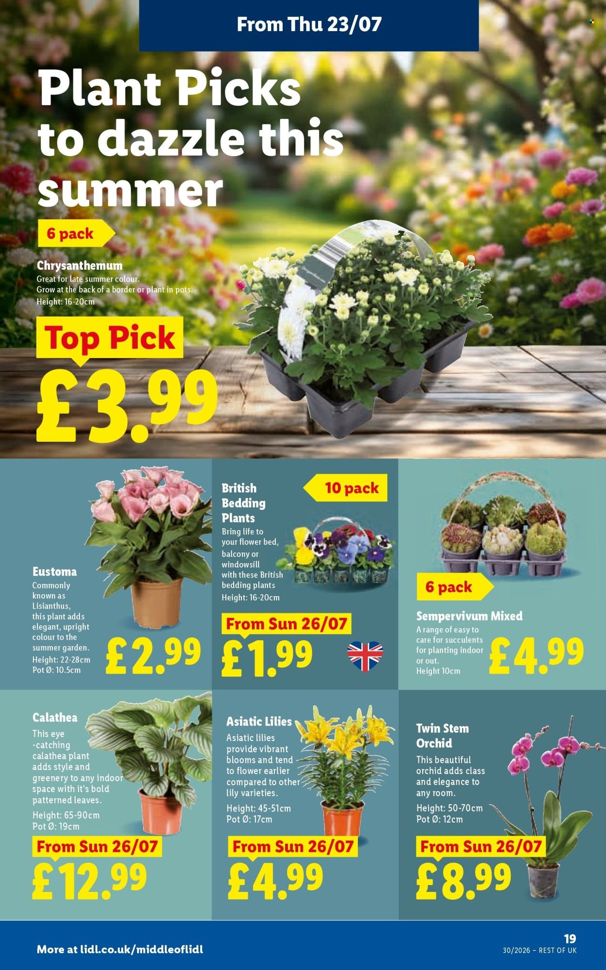 LIDL offer - Local Weekly Leaflet