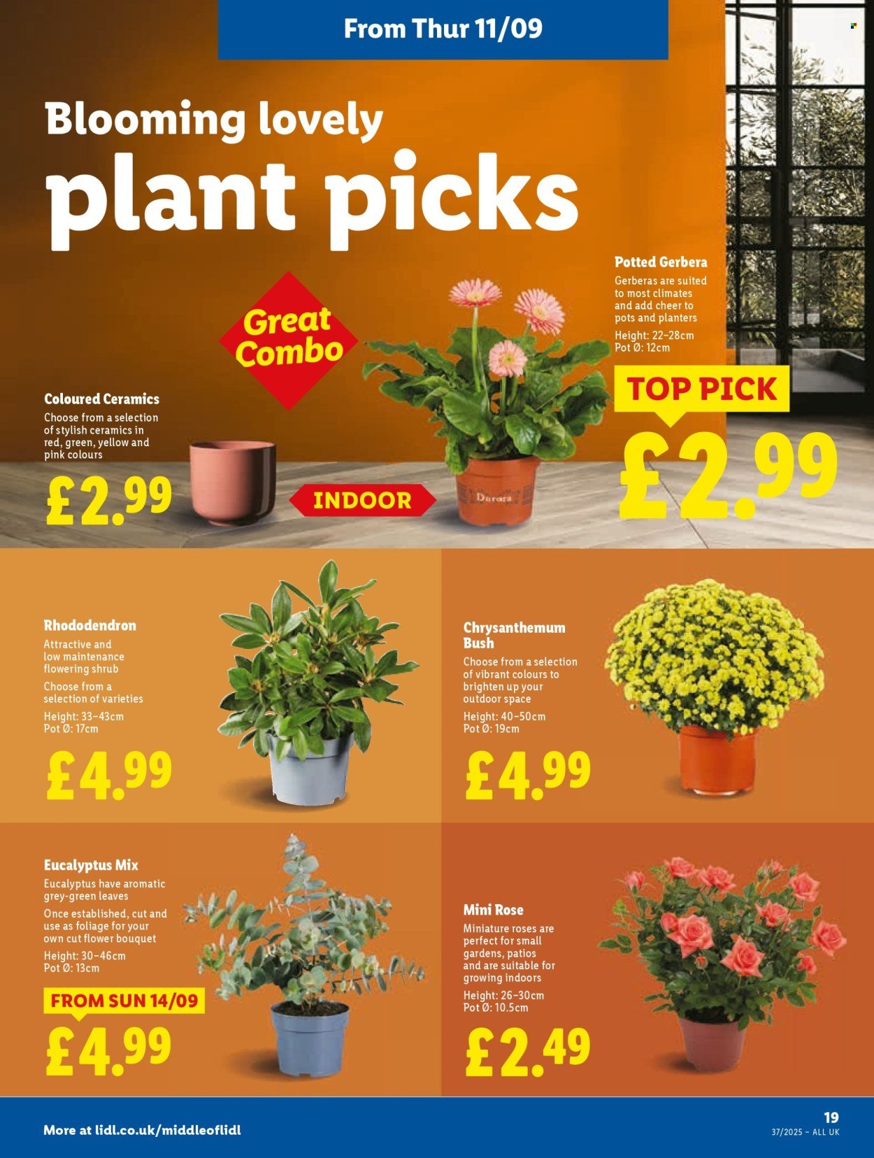 LIDL offer - Local Weekly Leaflet (2025-09-11 - 2025-09-17) | 21