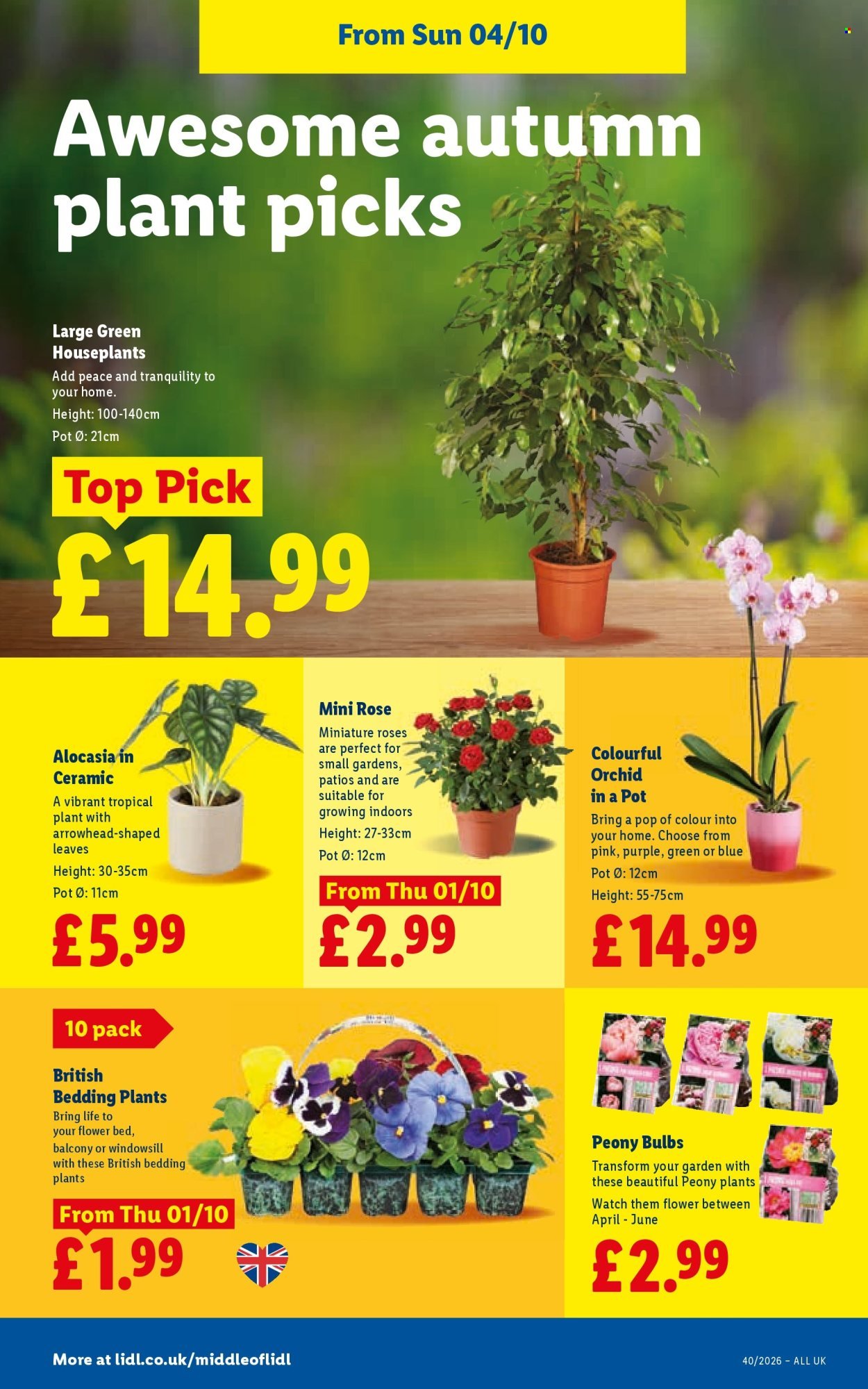LIDL offer - Local Weekly Leaflet