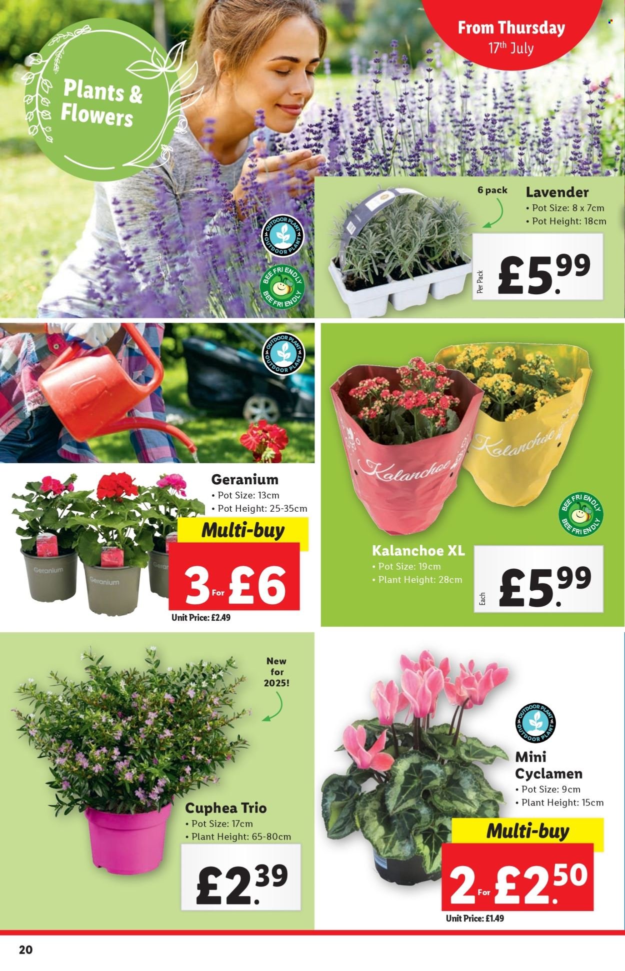 LIDL offer - July 2025 (2025-07-17 - 2025-07-23) | 20
