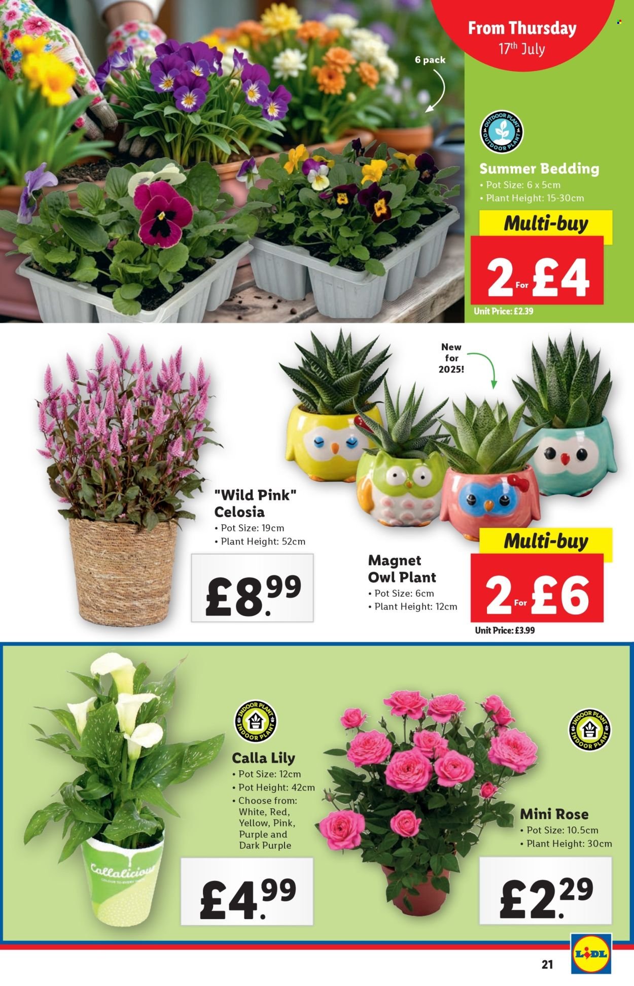 LIDL offer - July 2025 (2025-07-17 - 2025-07-23) | 21