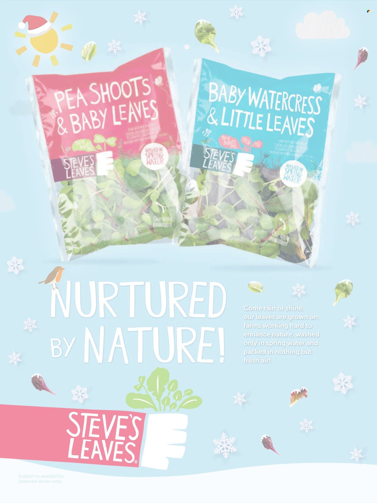 WAITROSE offer - Food (2025-12-01 - 2025-12-31) | 22