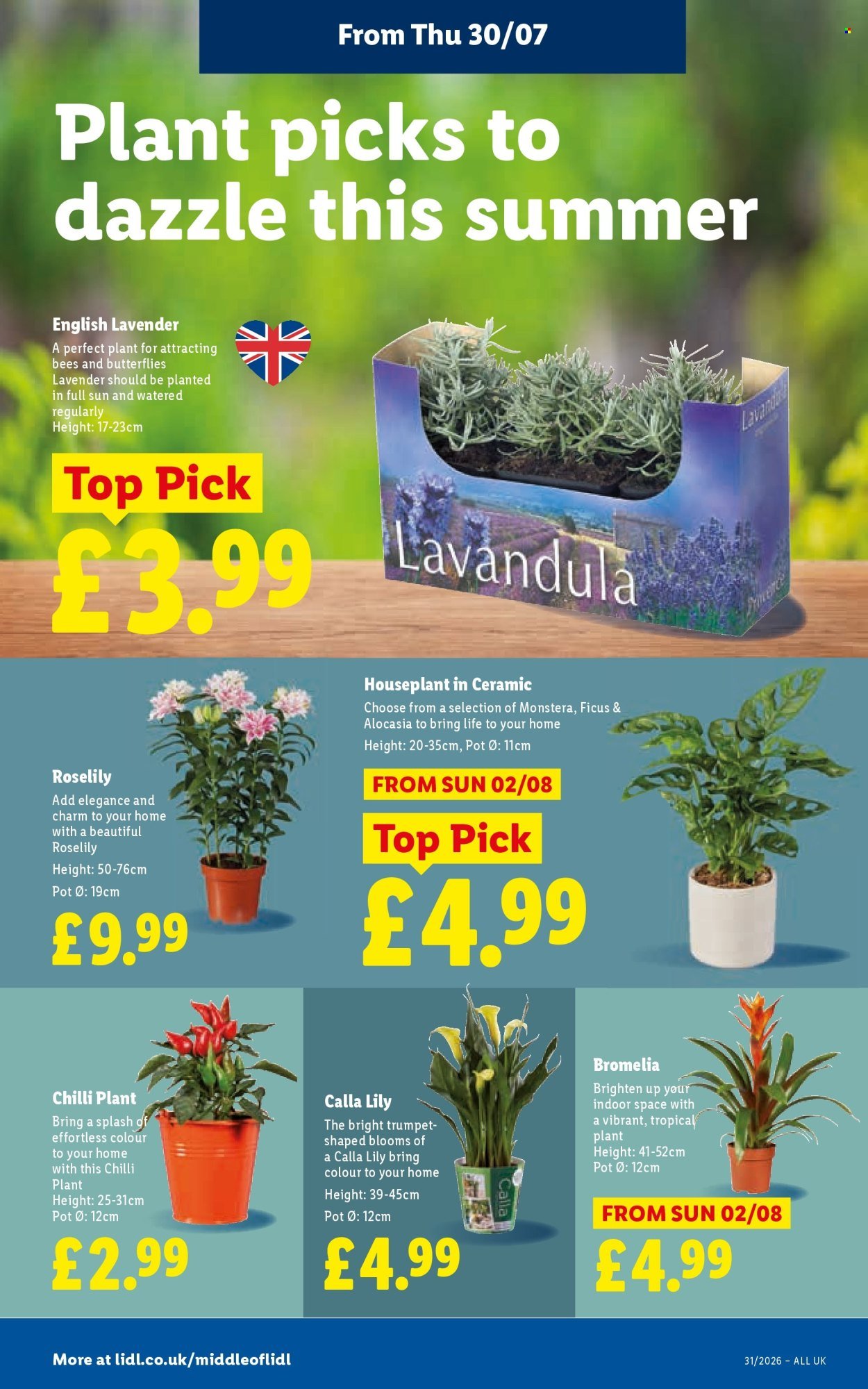 LIDL offer - Local Weekly Leaflet