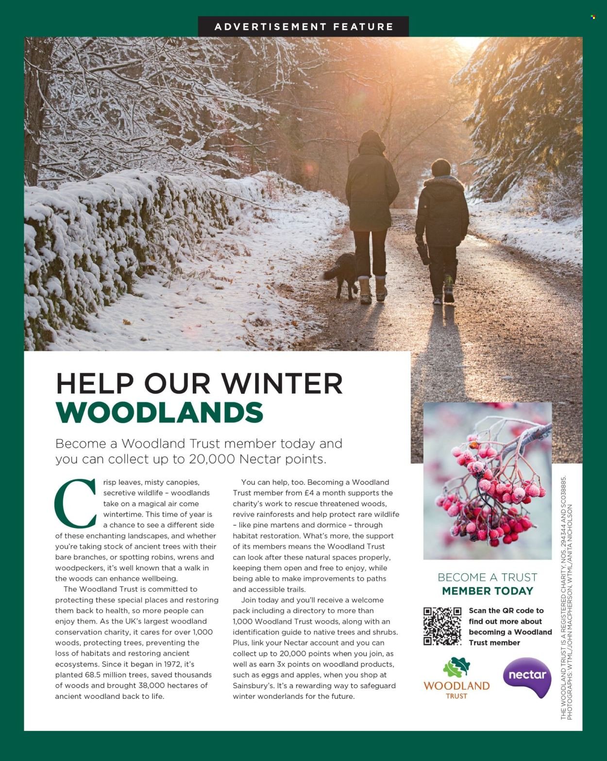 SAINSBURY'S offer - Magazine (2026-02-01 - 2026-02-28) | 89