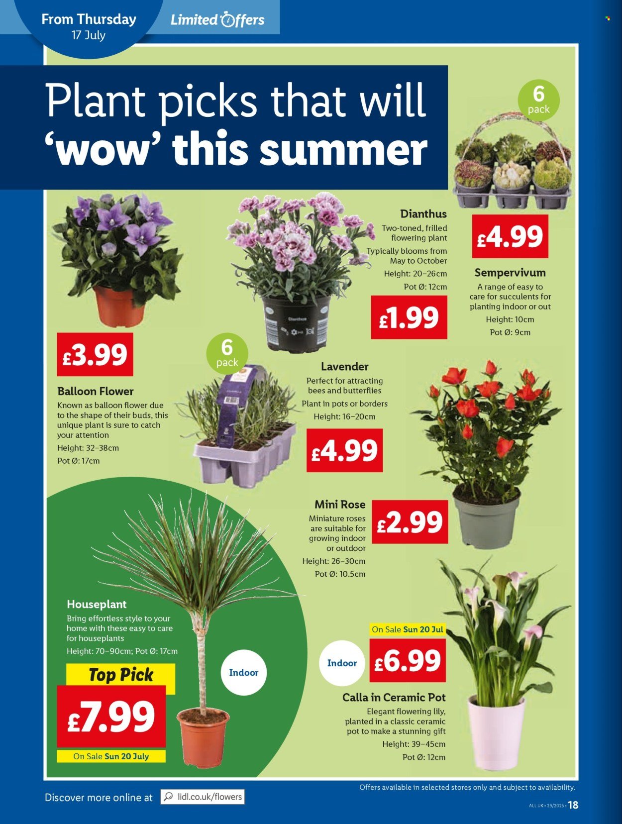 LIDL offer - Local Weekly Leaflet (2025-07-17 - 2025-07-23) | 18