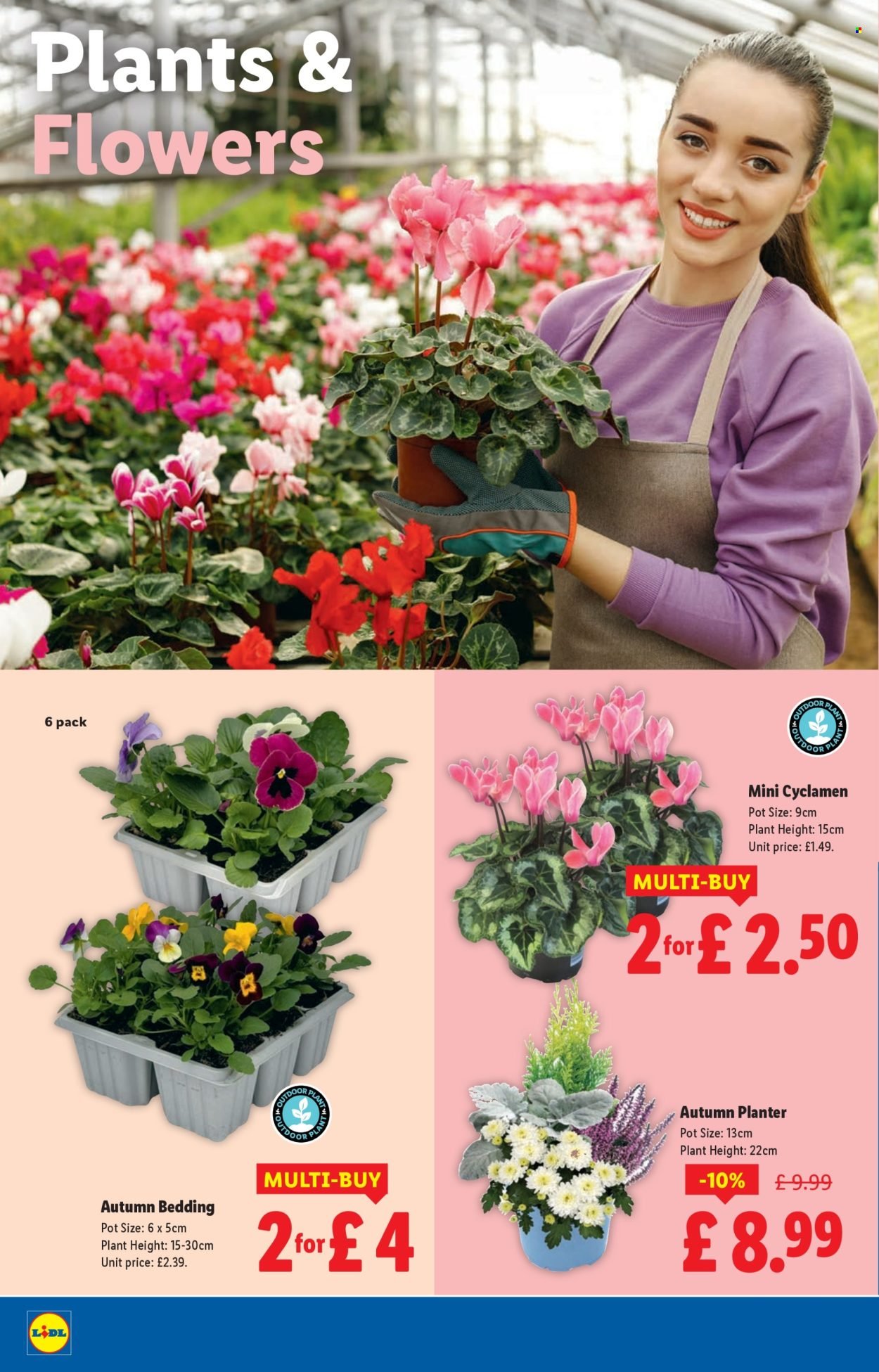 LIDL offer - October (2025-10-23 - 2025-10-29) | 22