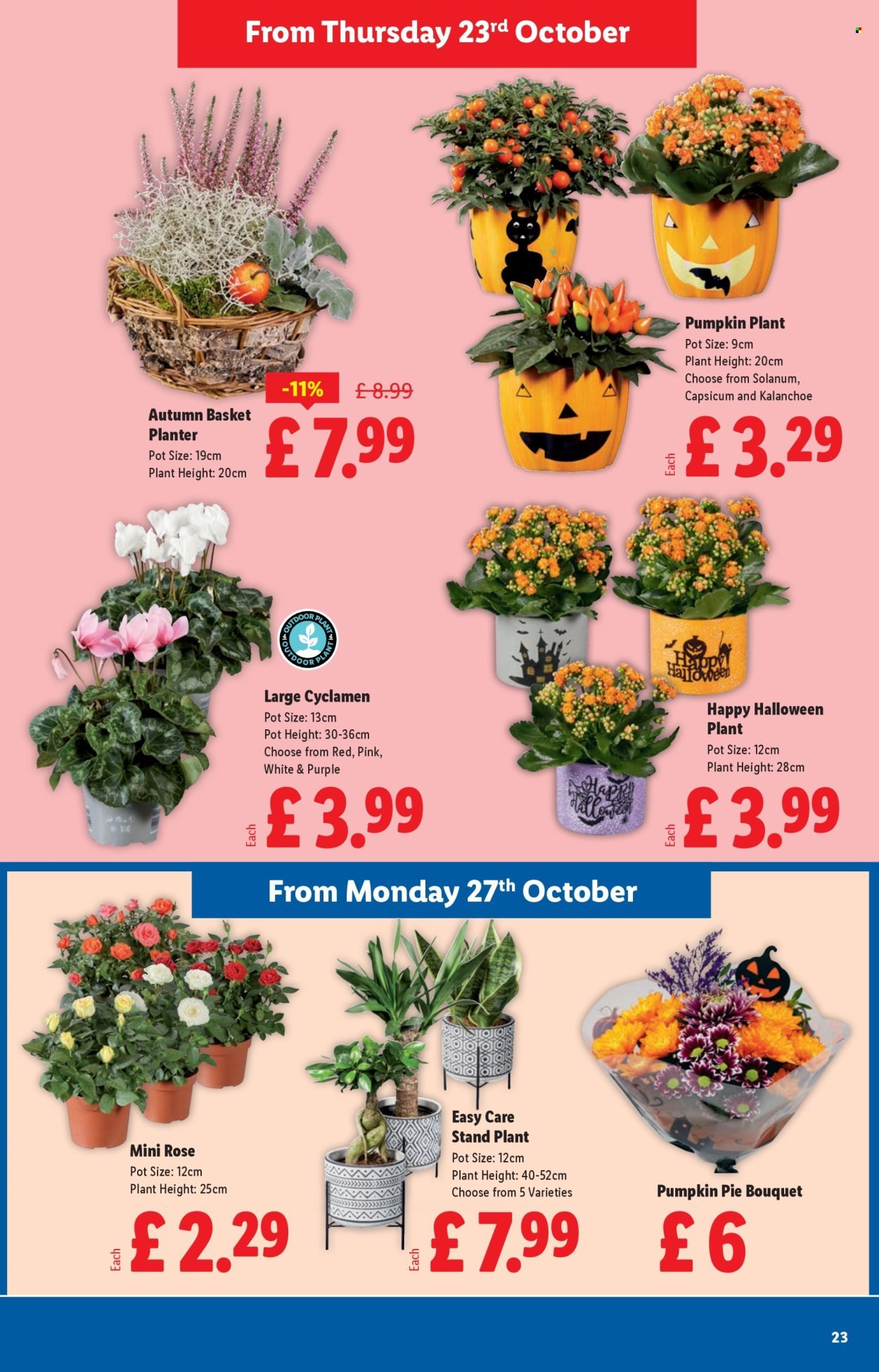 LIDL offer - October (2025-10-23 - 2025-10-29) | 23