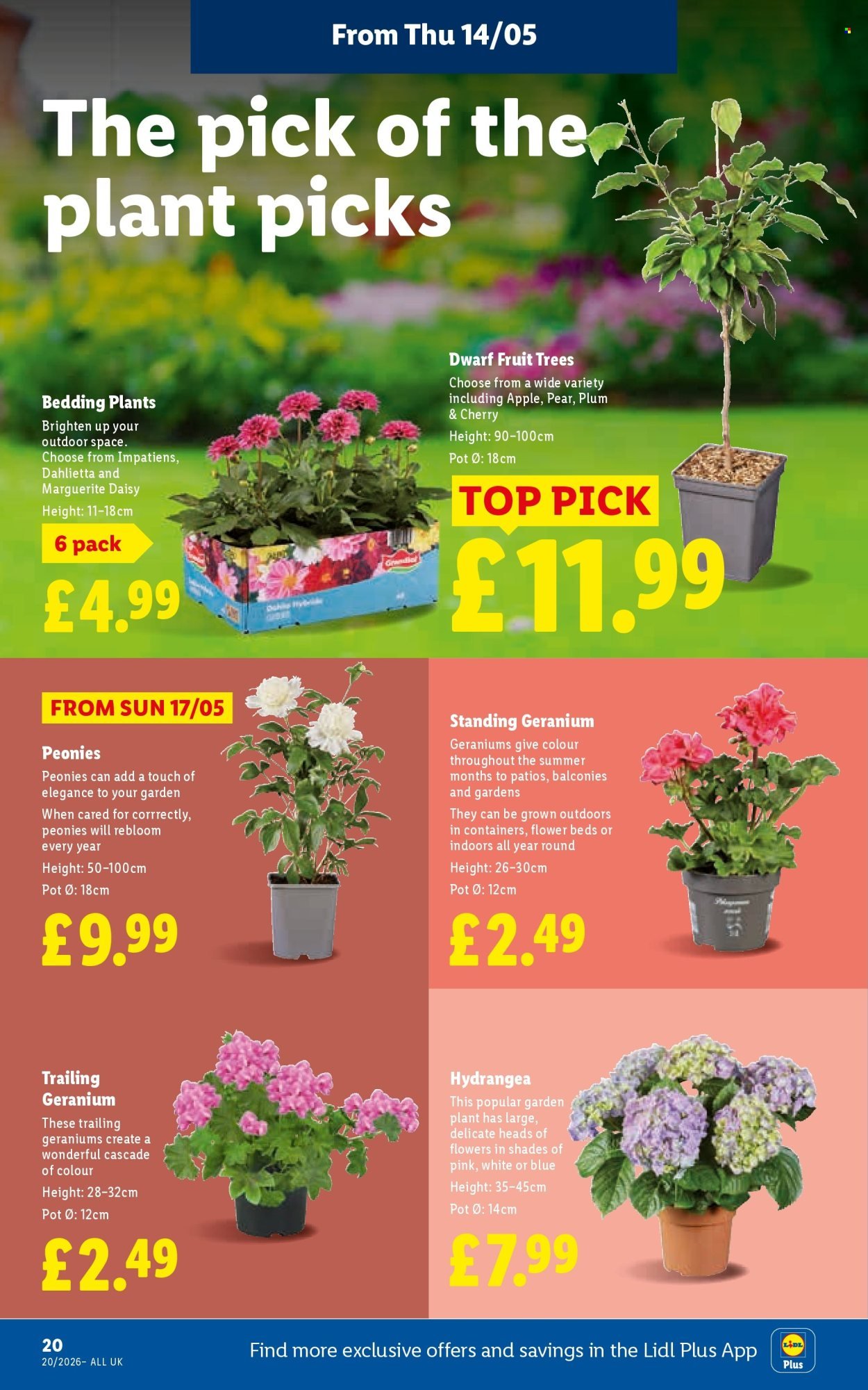 LIDL offer - Local Weekly Leaflet (2026-05-14 - 2026-05-20) | 22
