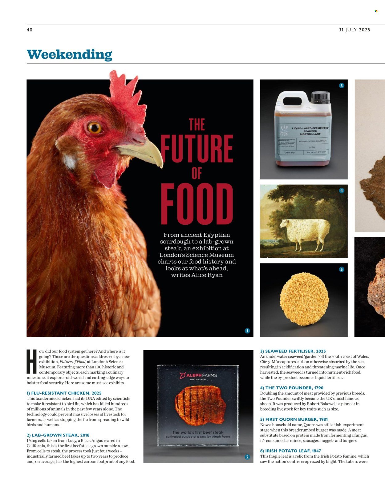 WAITROSE offer - Weekend (2025-07-31 - 2025-08-26) | 40