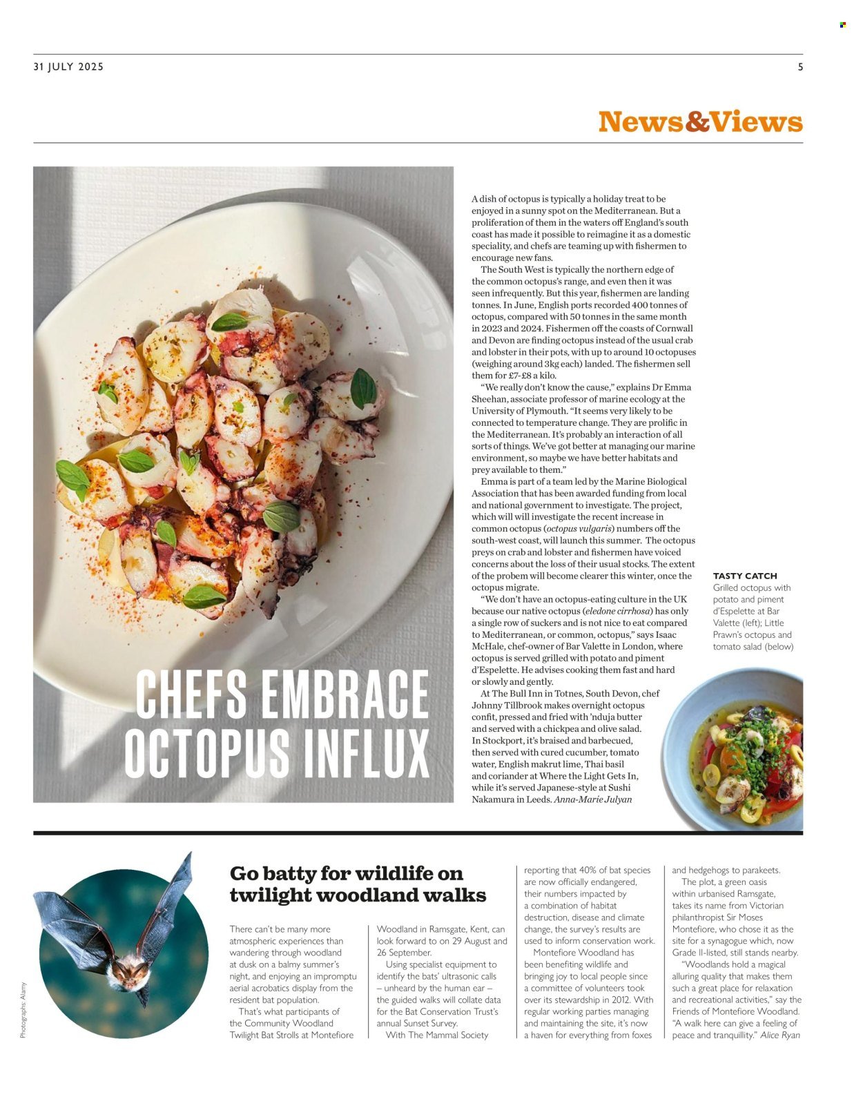 WAITROSE offer - Weekend (2025-07-31 - 2025-08-26) | 5