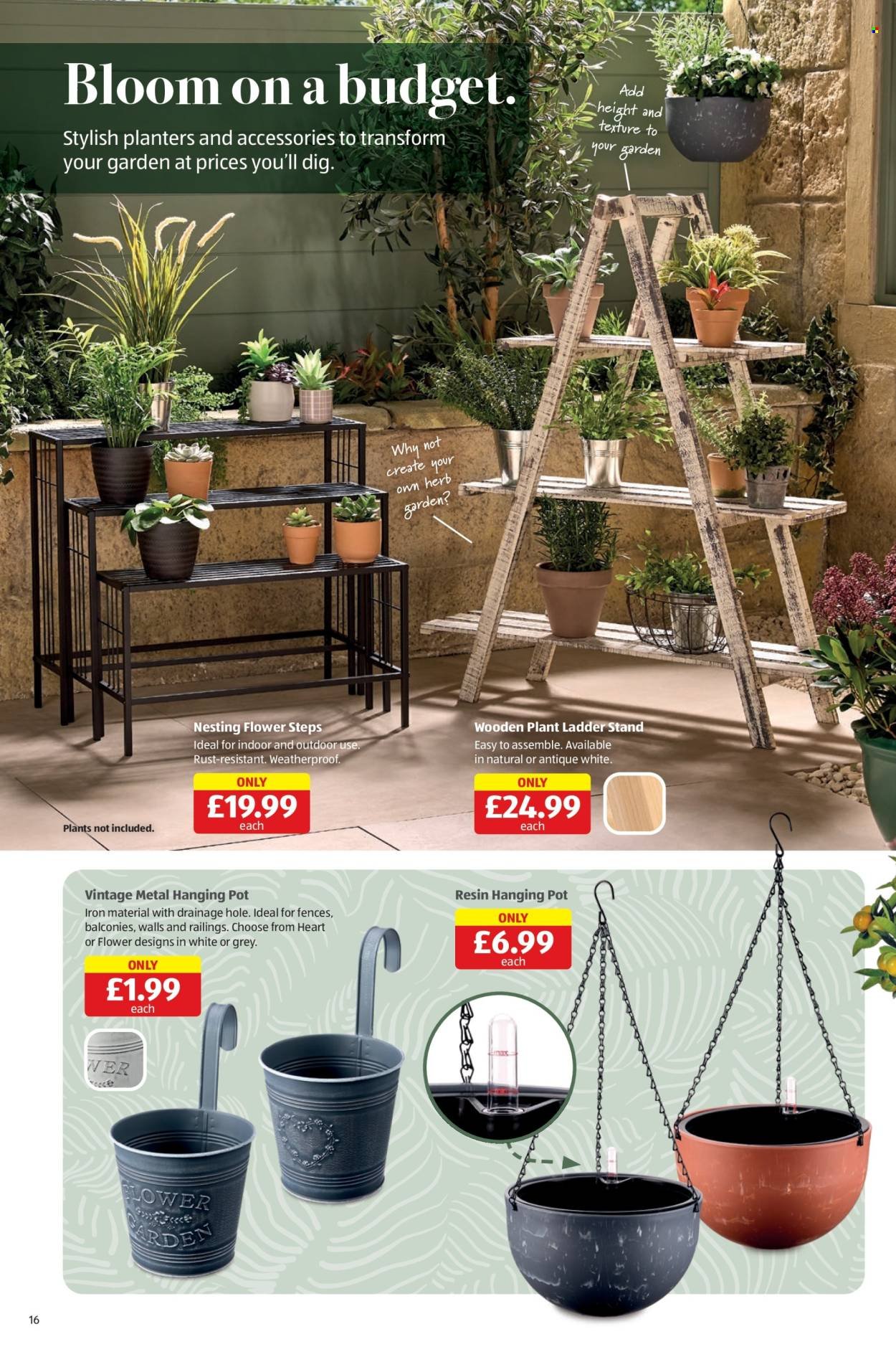 ALDI offer - From 19 Mar 2026 (2026-03-19 - 2026-03-30) | 16