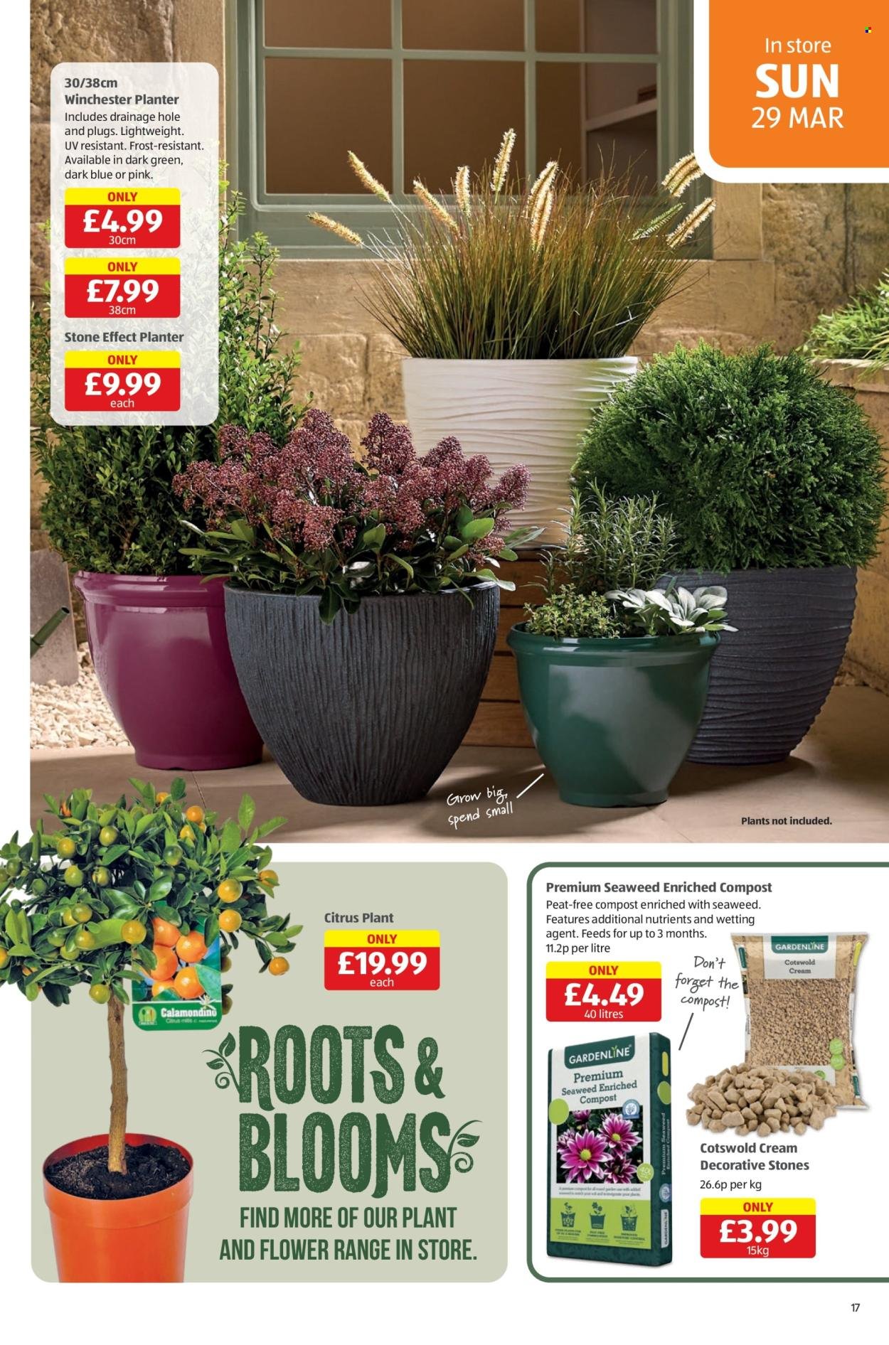 ALDI offer - From 19 Mar 2026 (2026-03-19 - 2026-03-30) | 17