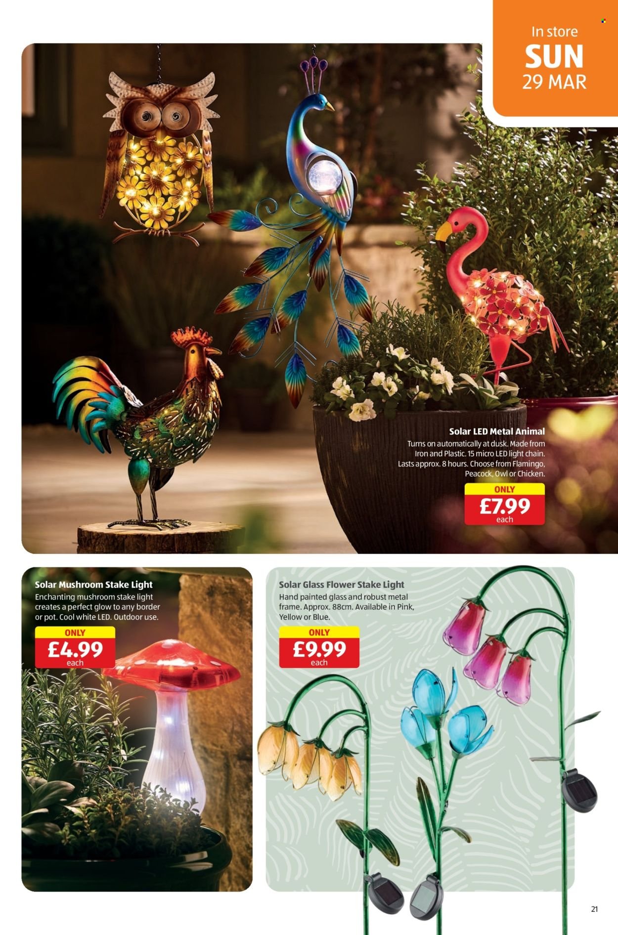 ALDI offer - From 19 Mar 2026 (2026-03-19 - 2026-03-30) | 21