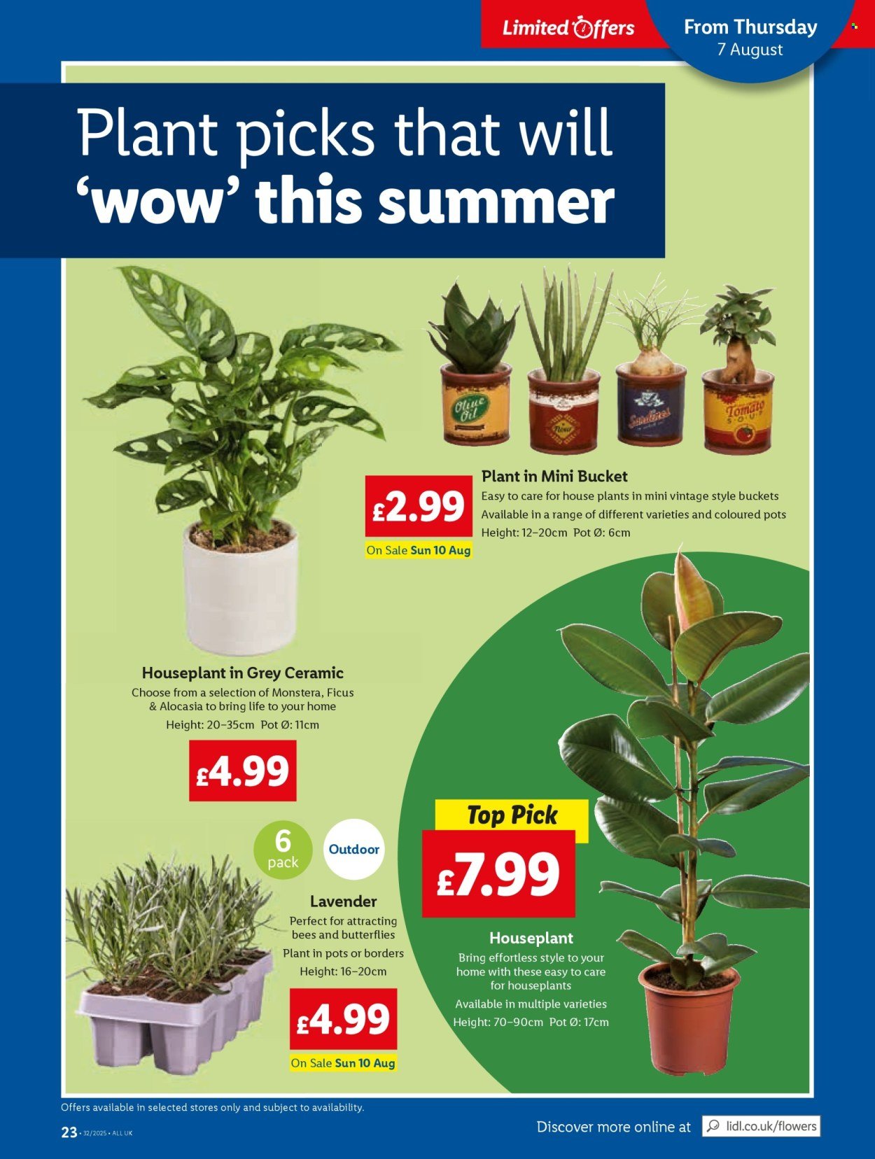 LIDL offer - Local Weekly Leaflet (2025-08-07 - 2025-08-13) | 25