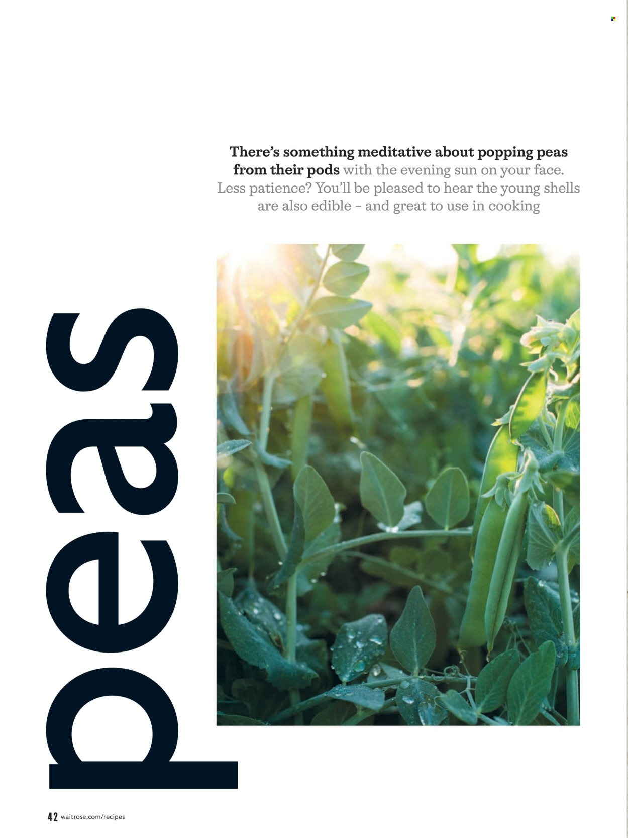 WAITROSE offer - June 2026