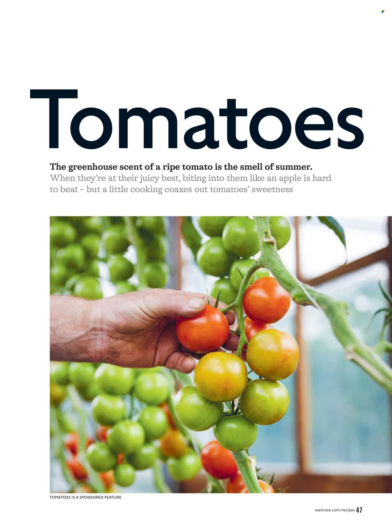 WAITROSE offer - June 2026