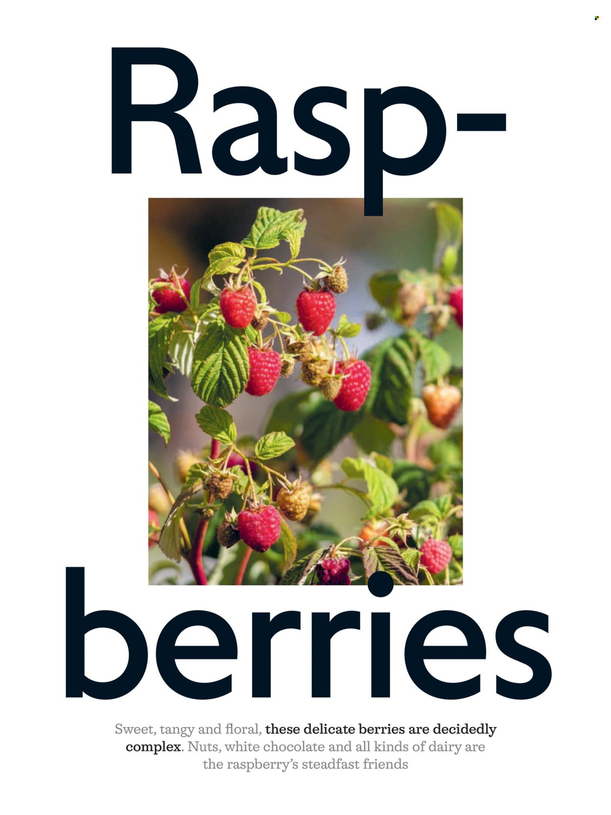 WAITROSE offer - June 2026