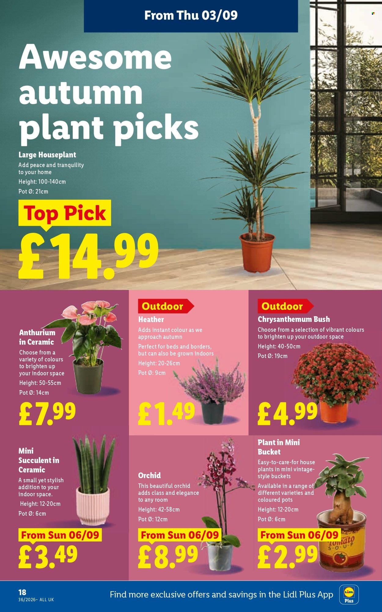 LIDL offer - Local Weekly Leaflet