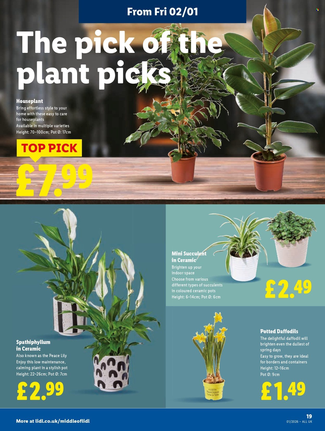 LIDL offer - Local Weekly Leaflet (2025-12-31 - 2026-01-07) | 21