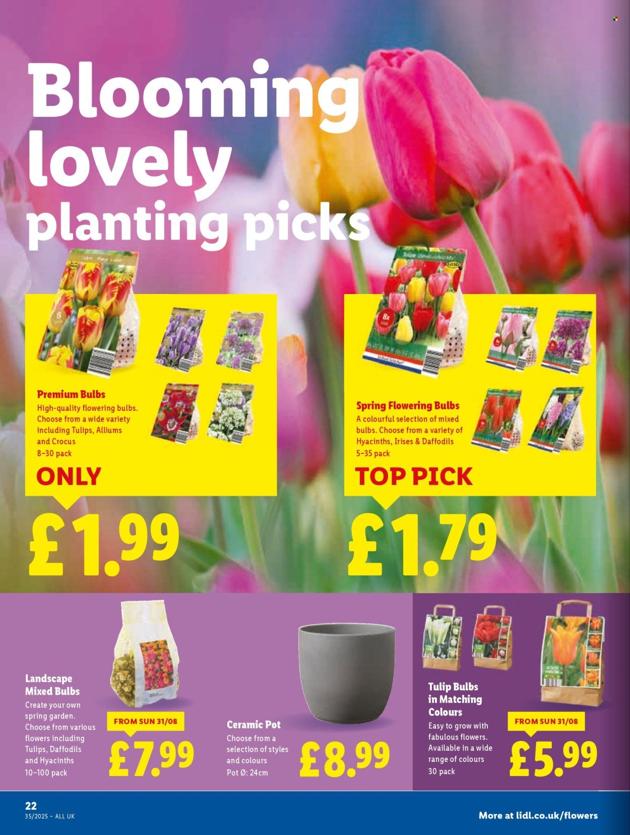 LIDL offer - Local Weekly Leaflet (2025-08-28 - 2025-09-03) | 24