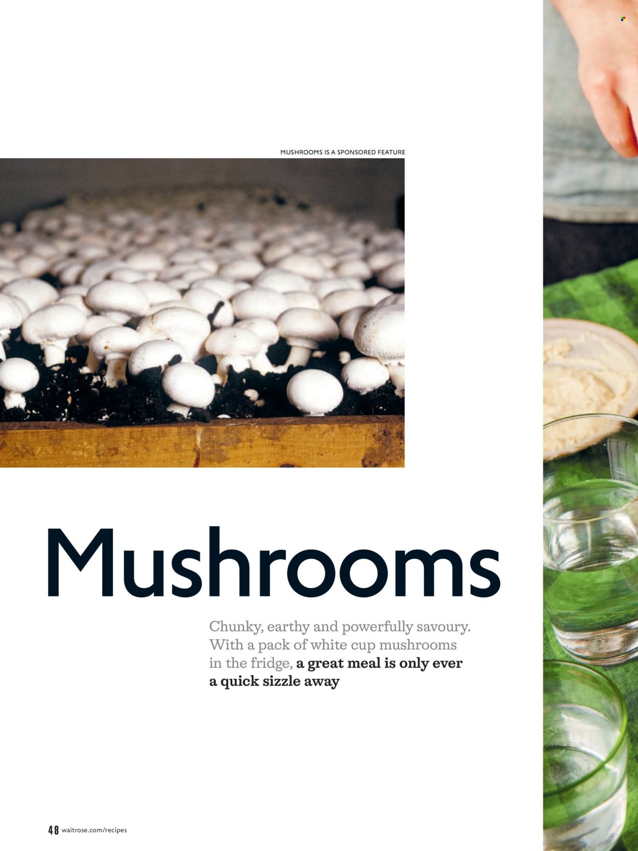 WAITROSE offer - September 2026