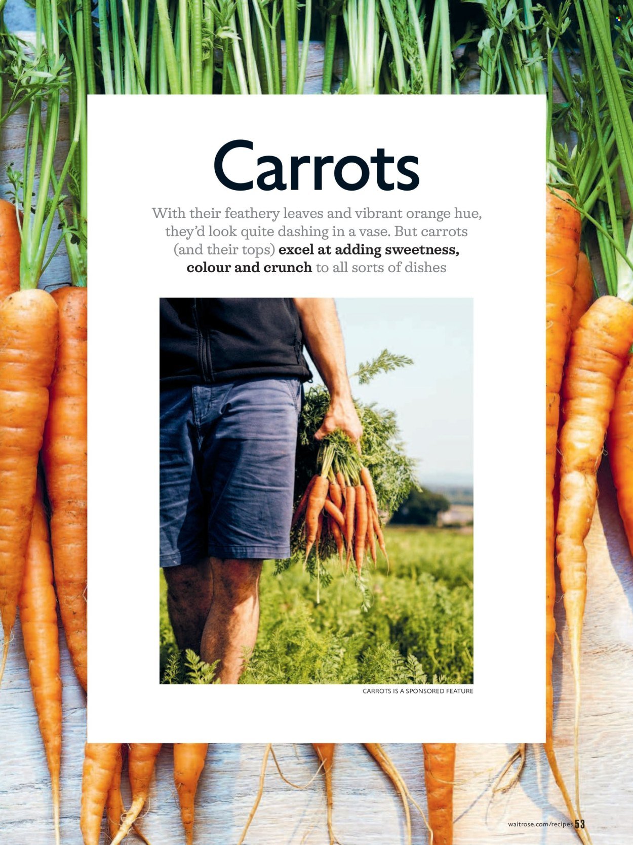 WAITROSE offer - September 2026