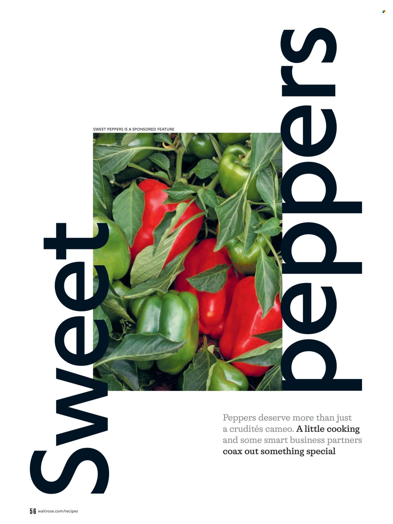 WAITROSE offer - September 2026