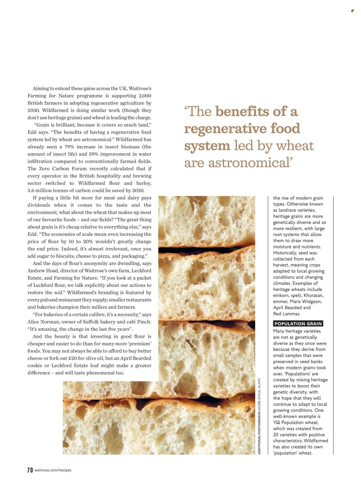 WAITROSE offer - September 2026