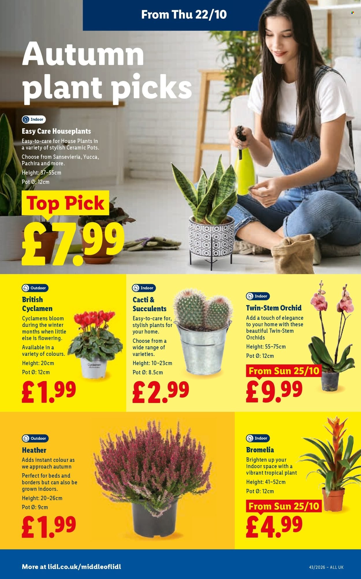 LIDL offer - Local Weekly Leaflet