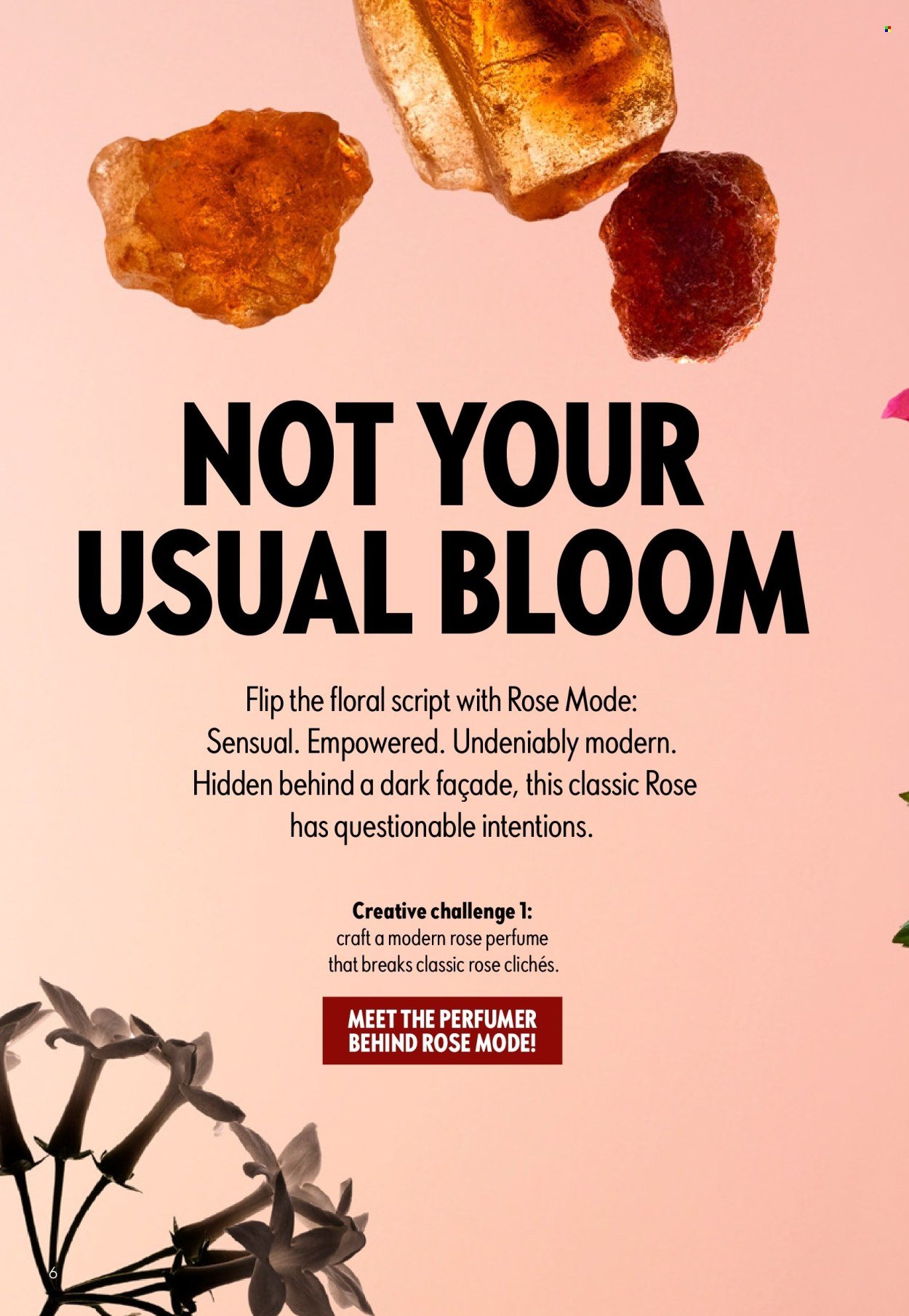 ORIFLAME offer - eCatalogue 06 (2026-04-15 - 2026-05-05) | 6