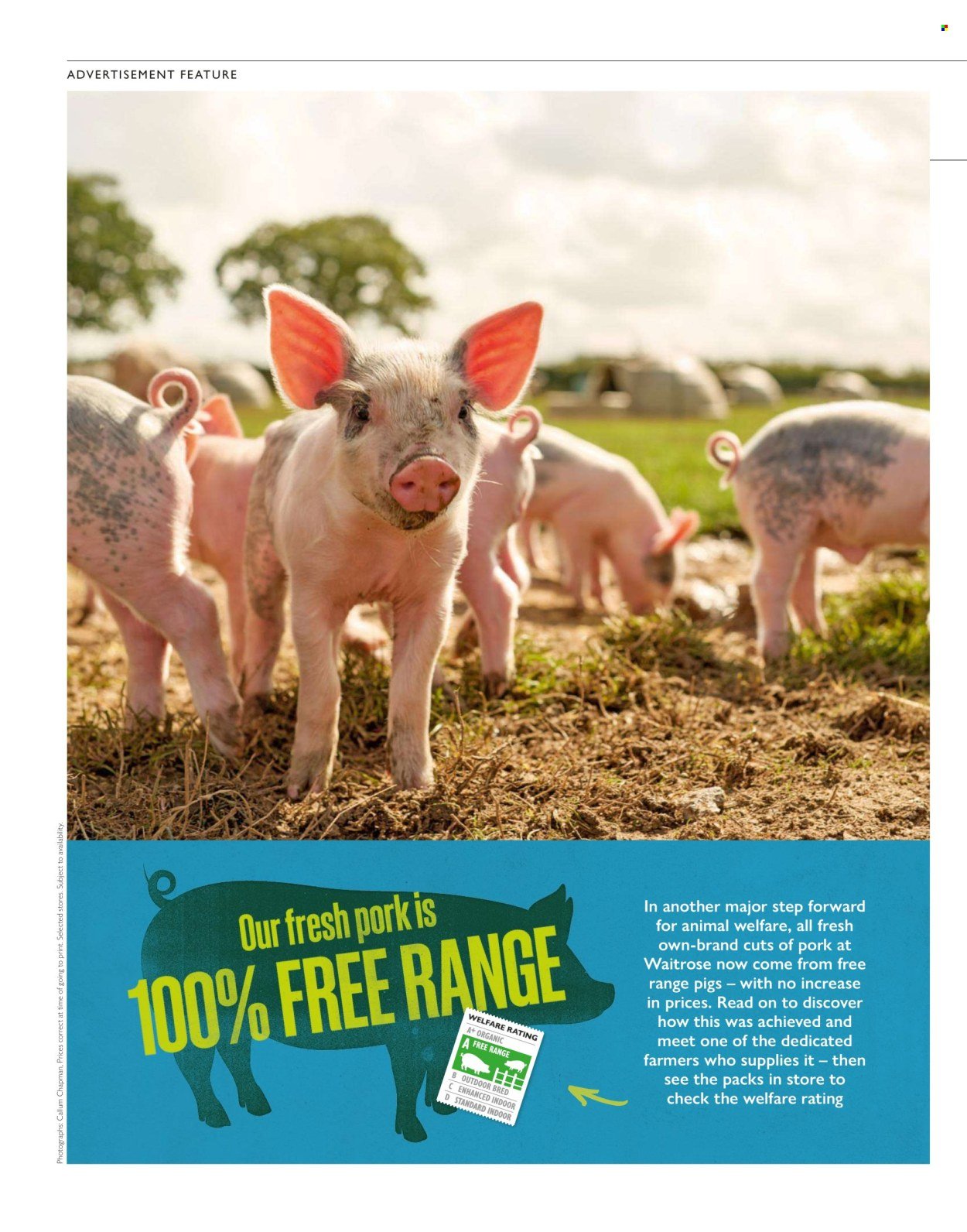 WAITROSE offer - Weekend (2025-10-19) | 42