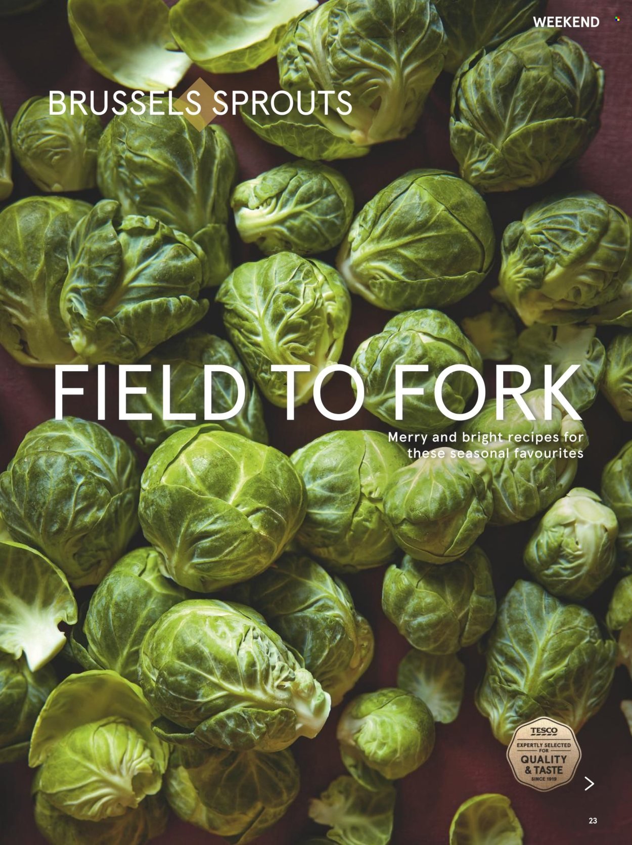 TESCO offer - From 1 Dec 2025 (2025-12-01 - 2025-12-31) | 23