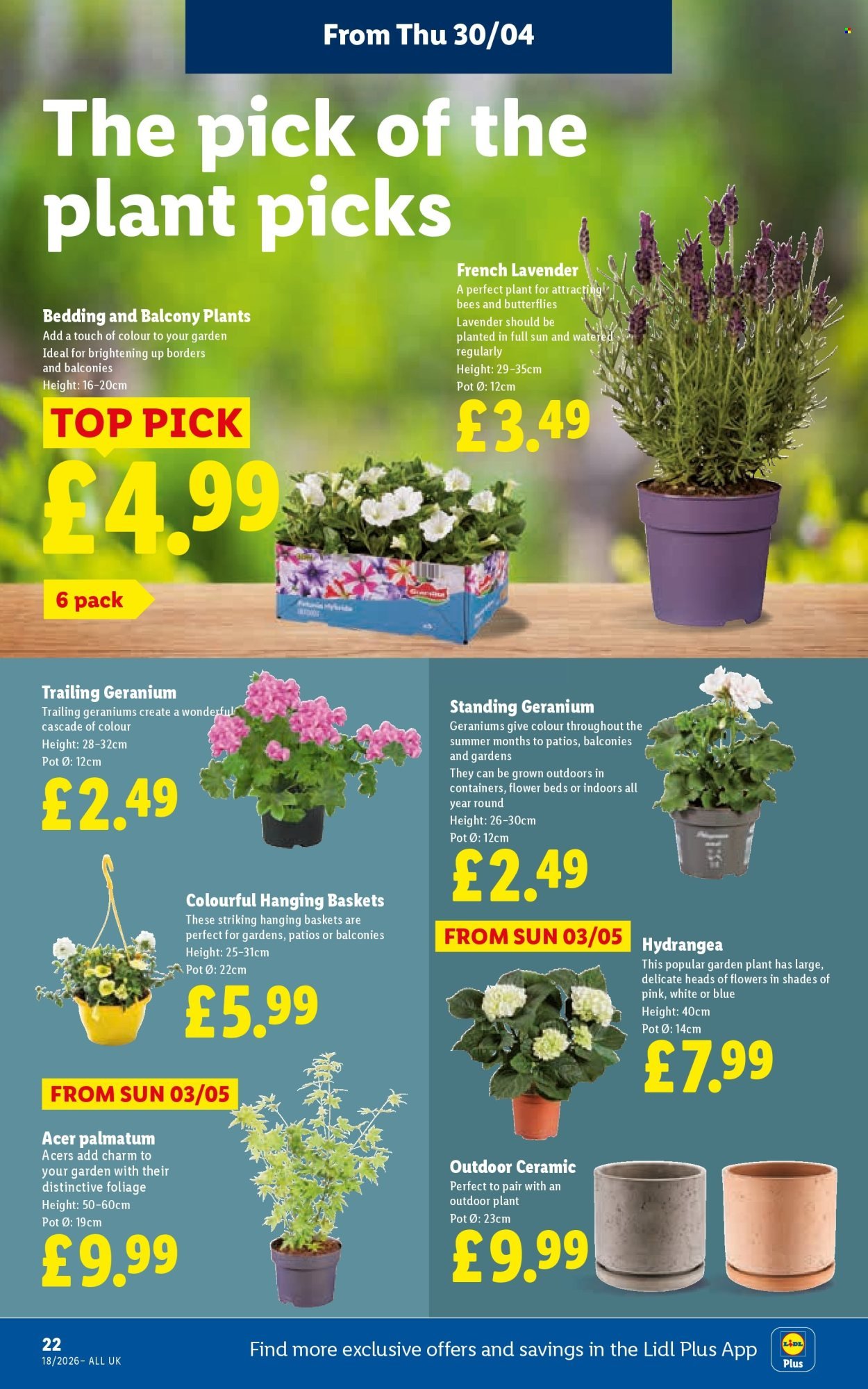 LIDL offer - Local Weekly Leaflet (2026-04-30 - 2026-05-06) | 24