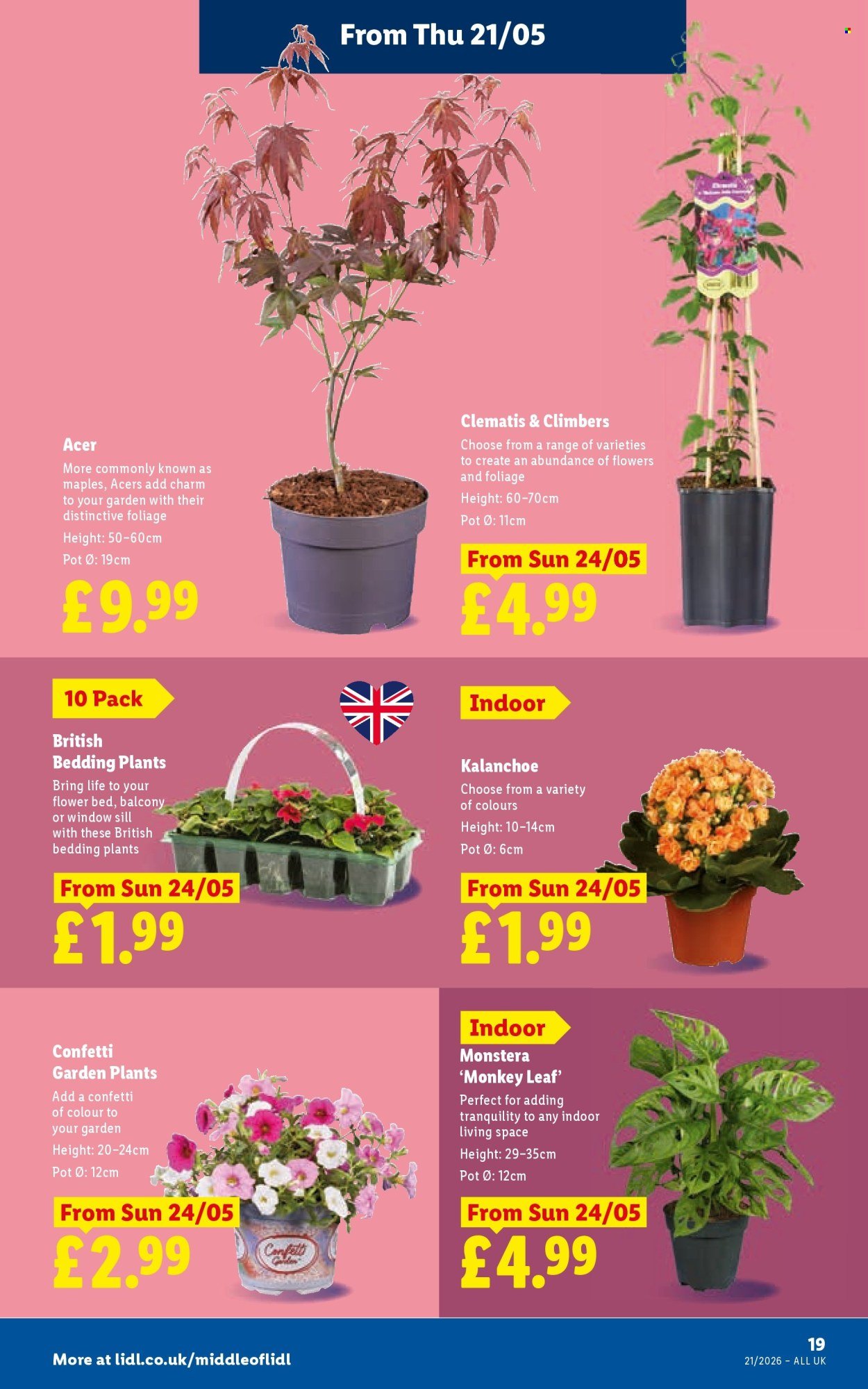 LIDL offer - Local Weekly Leaflet (2026-05-21 - 2026-05-27) | 23