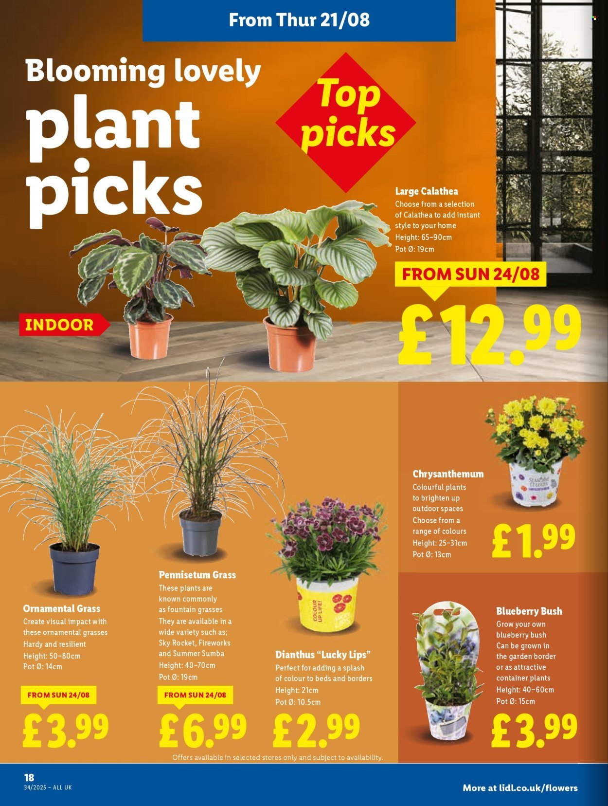 LIDL offer - Local Weekly Leaflet (2025-08-21 - 2025-08-27) | 20