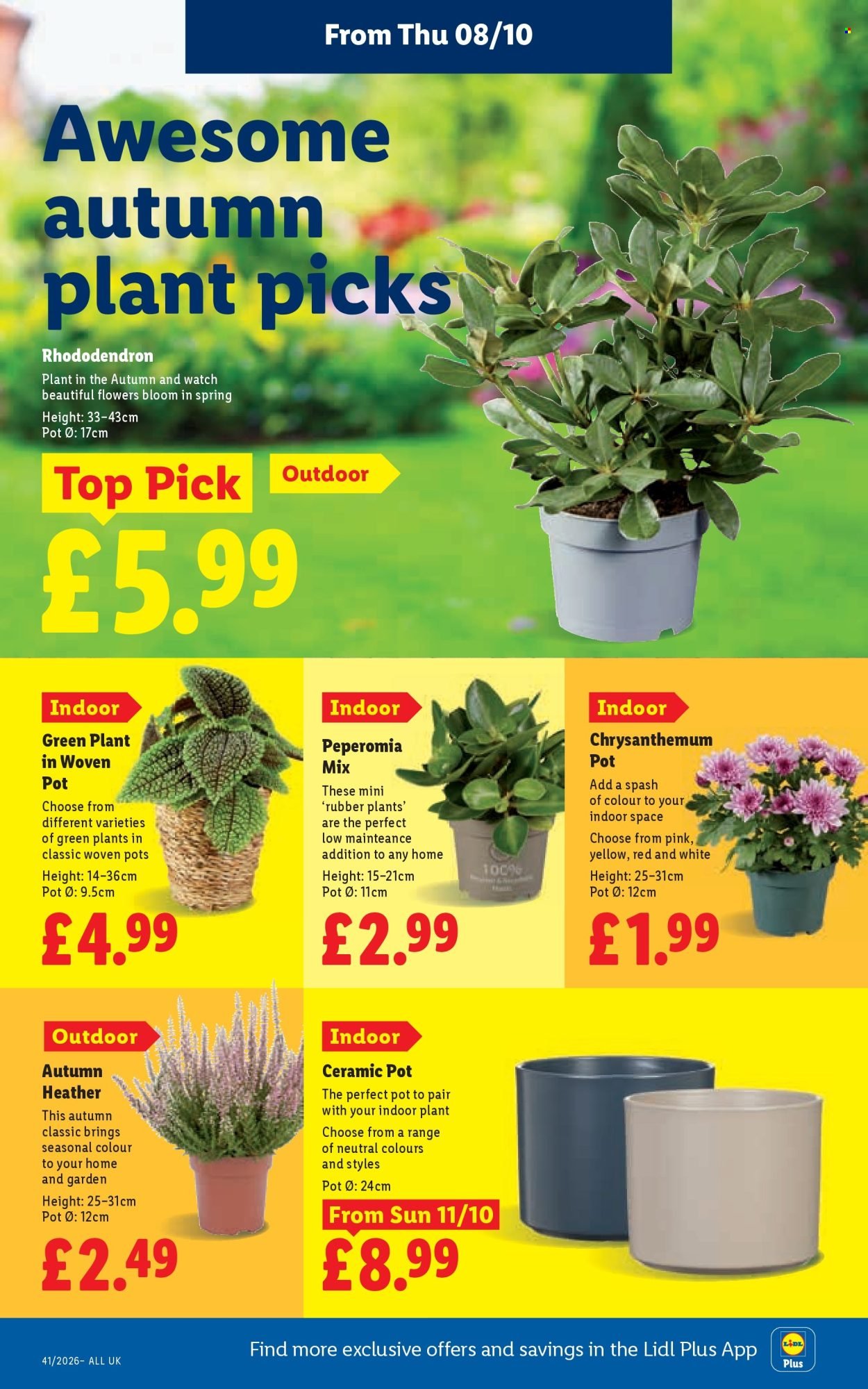 LIDL offer - Local Weekly Leaflet