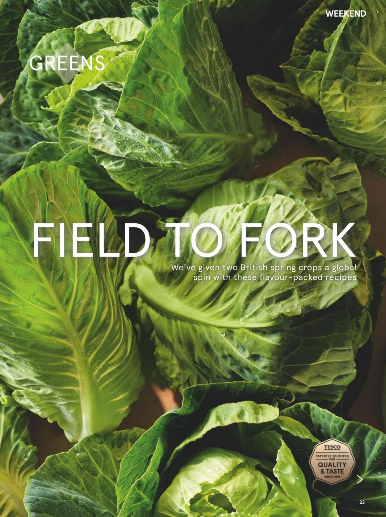 TESCO offer - From 1 Apr 2026 (2026-04-01 - 2026-04-30) | 23