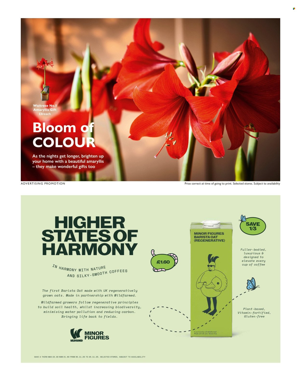 WAITROSE offer - From 6 Nov 2025 (2025-11-06 - 2025-11-30) | 32