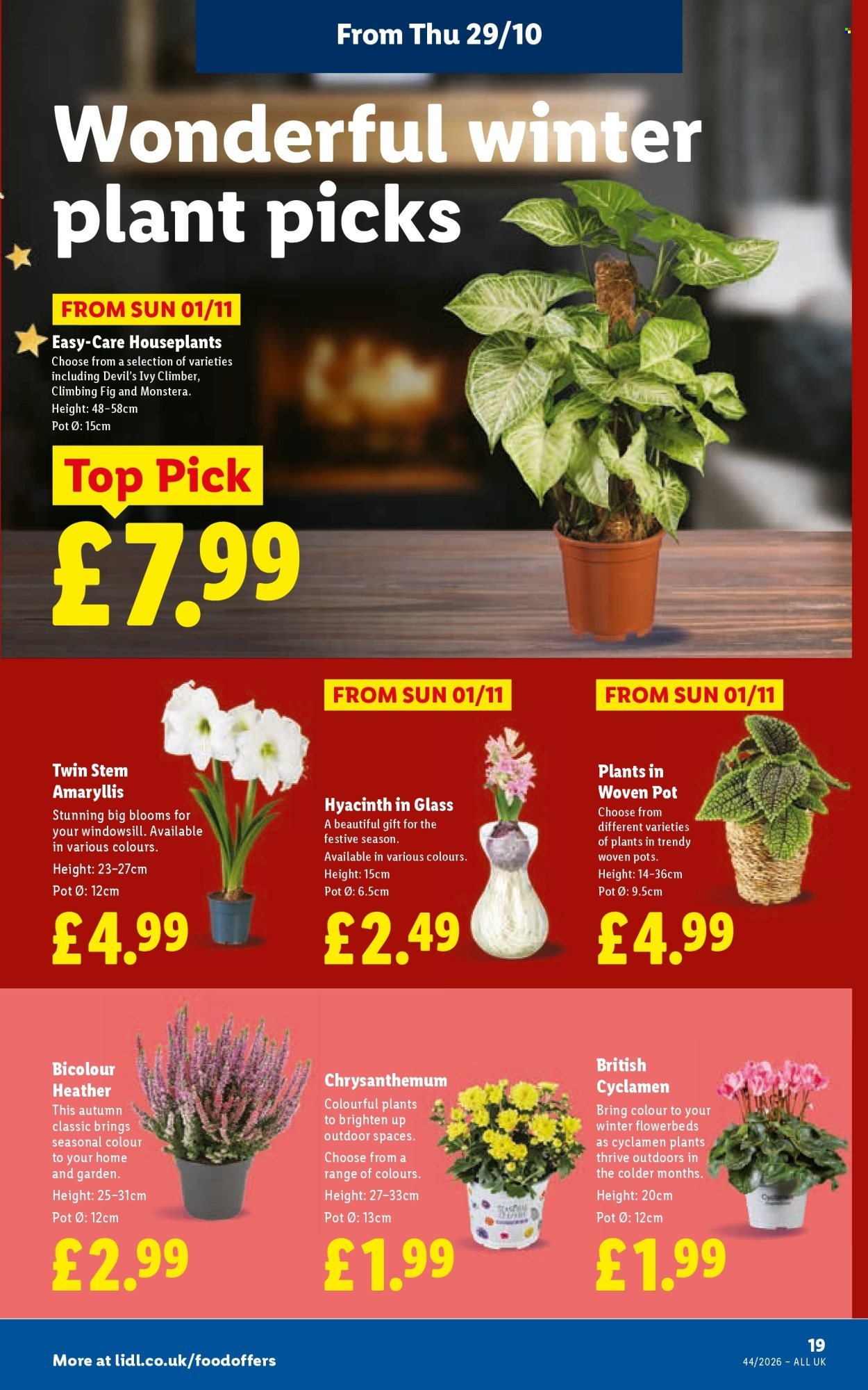 LIDL offer - Local Weekly Leaflet