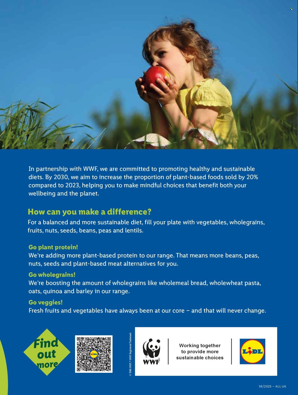 LIDL offer - Local Weekly Leaflet (2025-09-04 - 2025-09-10) | 9