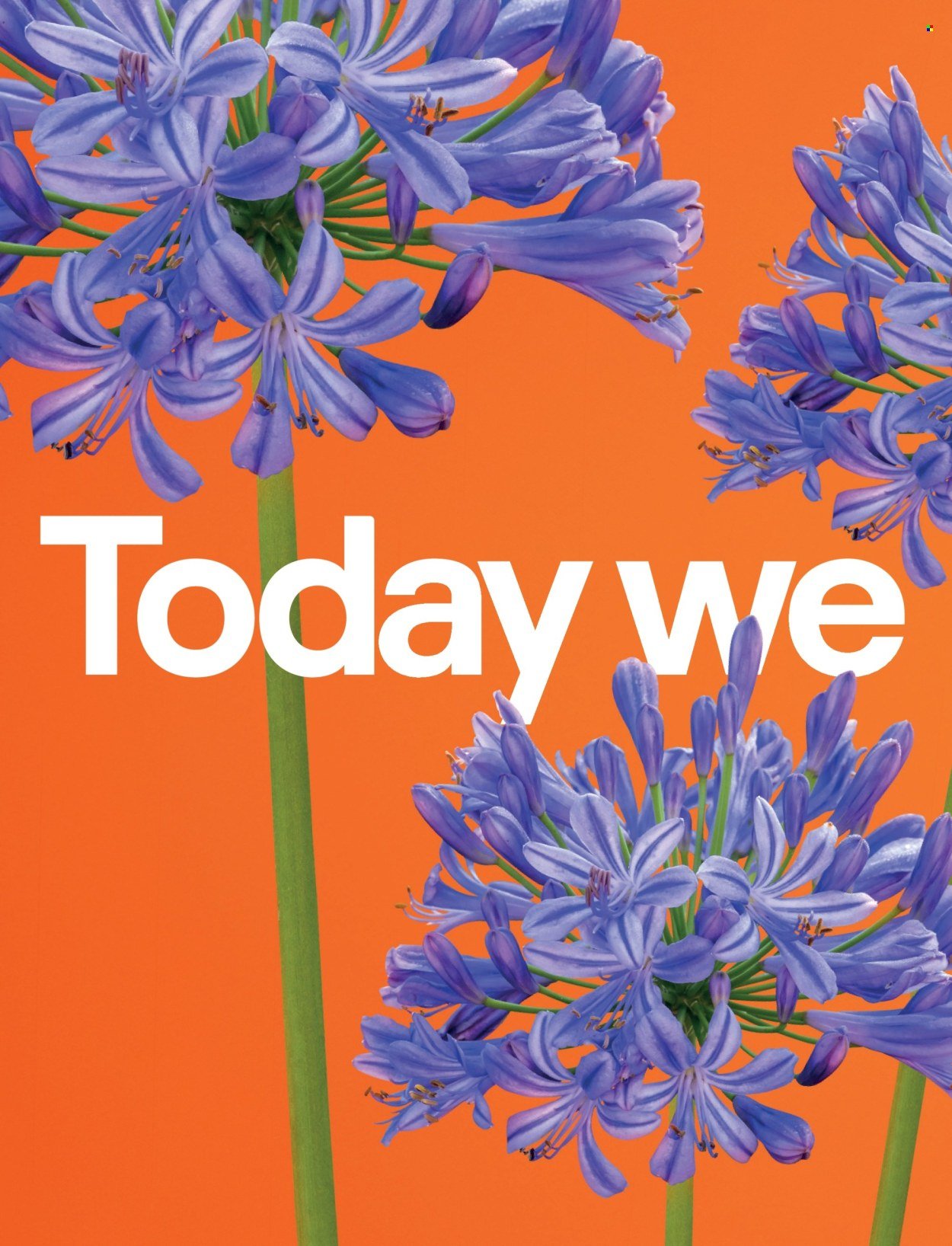 B&Q offer - Outdoors (2026-03-23) | 2