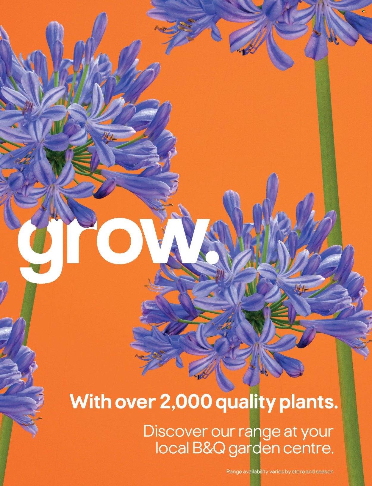 B&Q offer - Outdoors (2026-03-23) | 3