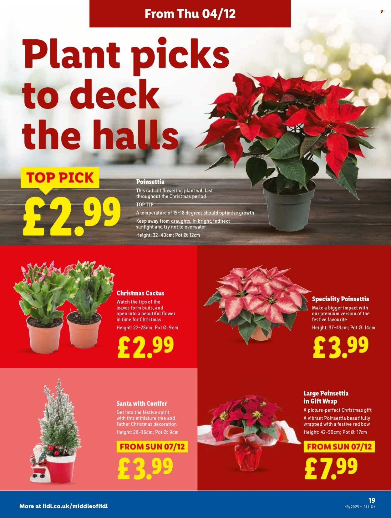 LIDL offer - Local Weekly Leaflet (2025-12-04 - 2025-12-10) | 20