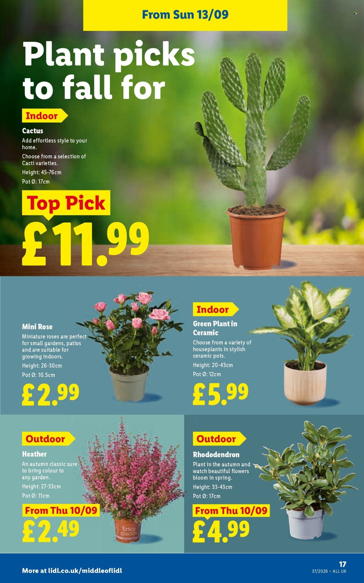 LIDL offer - Local Weekly Leaflet