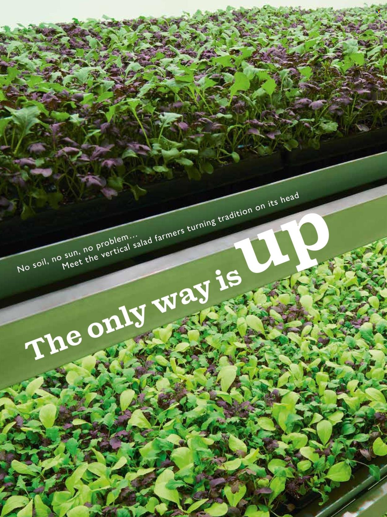 WAITROSE offer - September 2025 (2025-09-01 - 2025-09-30) | 82