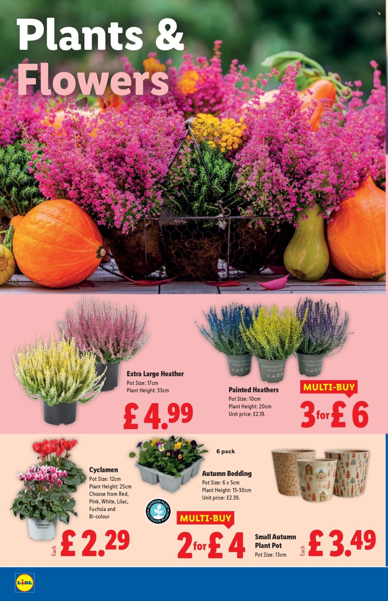 LIDL offer - October (2025-10-09 - 2025-10-15) | 20