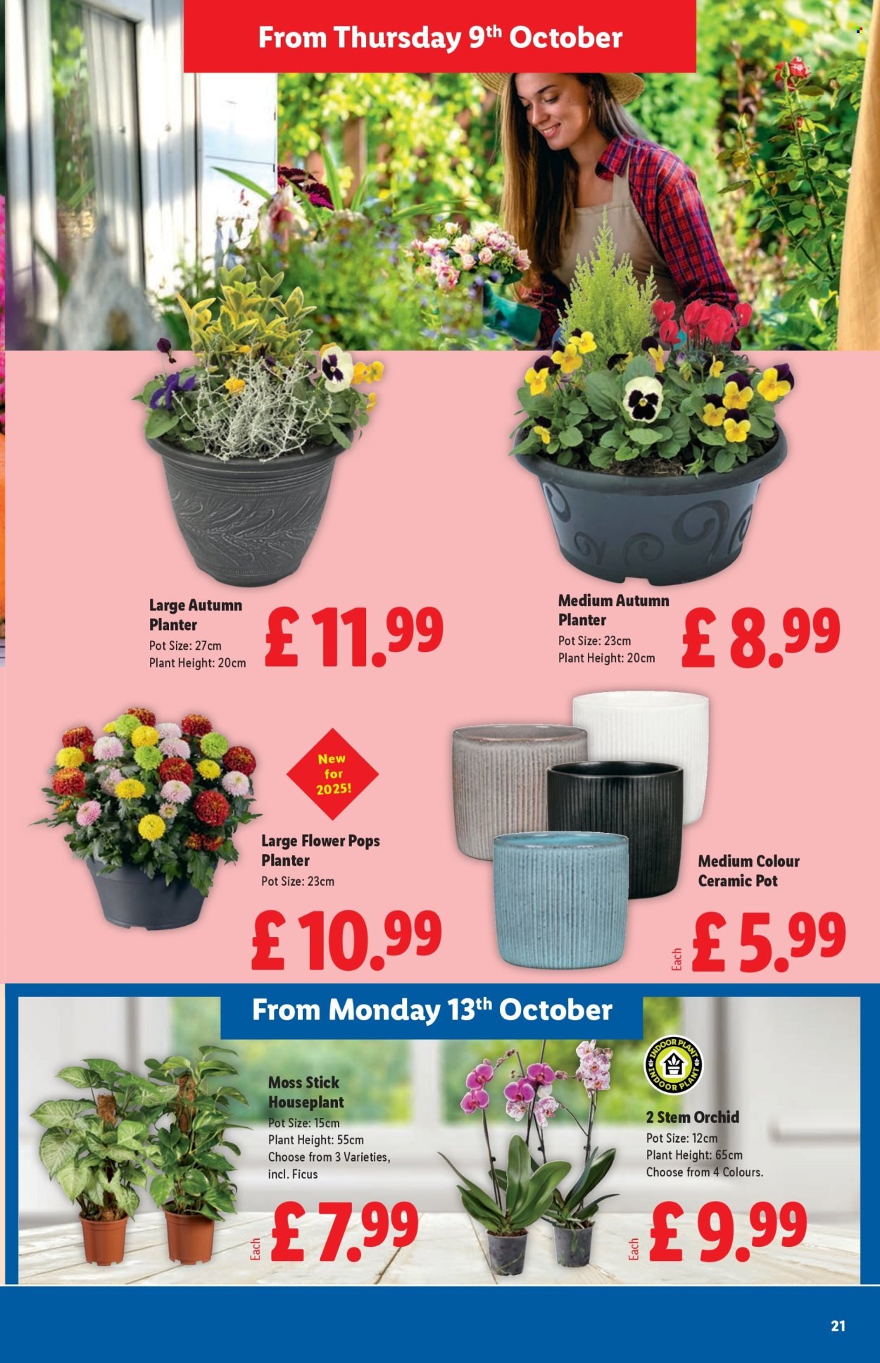 LIDL offer - October (2025-10-09 - 2025-10-15) | 21