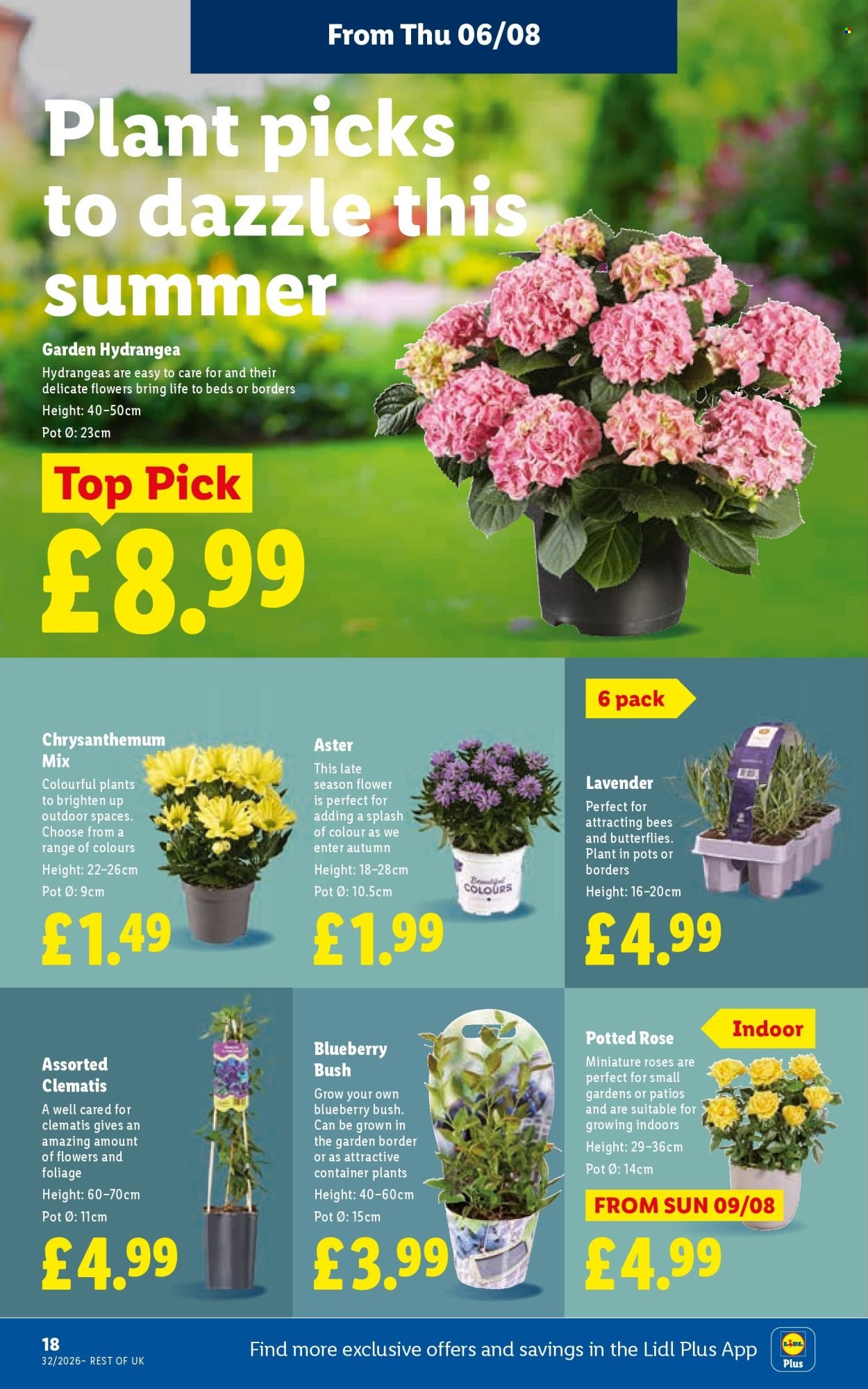 LIDL offer - Local Weekly Leaflet