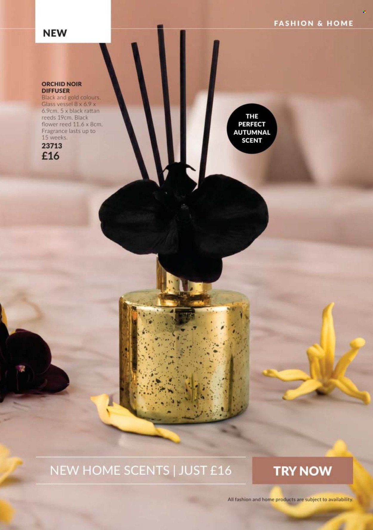 AVON offer - CAMPAIGN 10